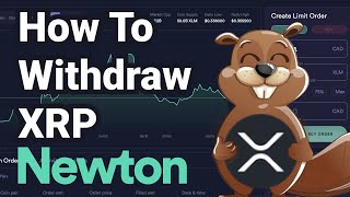 How to Withdraw XRP From Newton Step by Step [upl. by Meilen427]