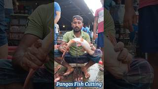 Incredible Giant Pangas Fish Cutting Techniques  Fish Cutting Skills [upl. by Ydospahr]