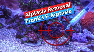 Aiptasia Removal FAiptasia and how to kill pest anemones [upl. by Karlens312]