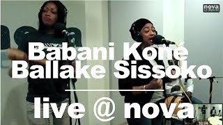 Babani Koné amp Ballake Sissoko • Live  Nova [upl. by Modesty]