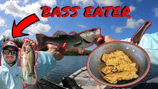 Largemouth BASS Catch Clean Cook Surprising Results [upl. by Yhprum]