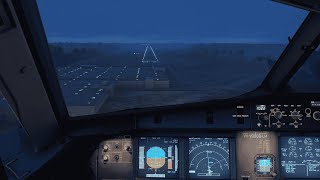 MSFS  Fenix A320 Foggy Landing in Sunshine Beach  60FPS [upl. by Sirromad]