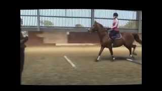 Jumping lesson with canter poles [upl. by Hedva]