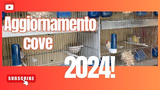 Aggiornamento cove 2024 [upl. by Nickola]