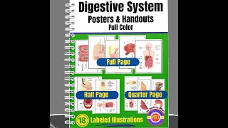 Digestive System Posters and Handouts Preview Video [upl. by Philipines293]