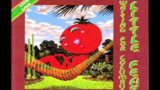 Little Feat w Tower of Power Horns Mercenary Territory live [upl. by Yornek]