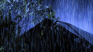 FASTEST Sleep with Heavy Rain on Roof  3Hz  Night Thunderstorm for Insomnia Study Relax [upl. by Noira]