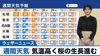 【週間天気予報】天気は周期変化 来週後半は気温高く桜に期待 [upl. by Baxter]