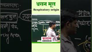 Respiratory origin sunilsir [upl. by Emma138]