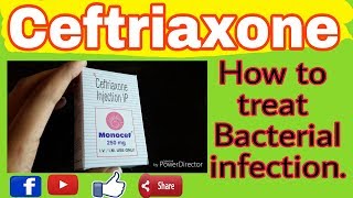 Monocef 1gm injectionCeftriaxone mechanism of actionEp1416112018use of monocef injection [upl. by Airlee]