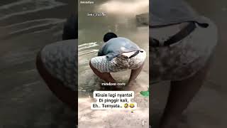 Abis kepleset Nyantai dulu ga sih bre 🤣 dahlah lucungakak funnyvideo kepleset gaje [upl. by Cohlette]