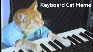 keyboard cat meme [upl. by Locklin487]