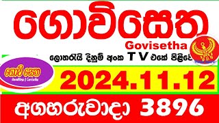 Govisetha 3896 20241112 Today nlb Lottery Result අද ගොවිසෙත දිනුම් ප්‍රතිඵල Lotherai dinum anka [upl. by Onyx368]