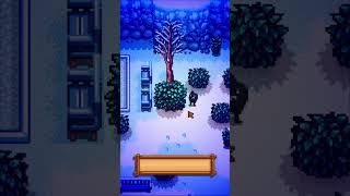 How to Find Shadow Figure  Winter Quest tutorial stardewvalley shorts chillvibes [upl. by Arteid908]