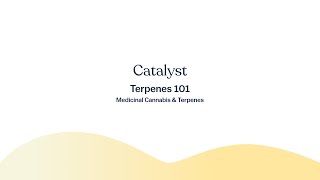 Terpenes 101  Understanding Terpenes and Medicinal Cannabis [upl. by Ahsiekrats]