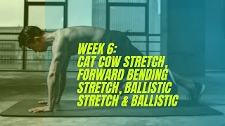 PathFit 1 Weekly workout planner WEEK 6 [upl. by Engedus719]