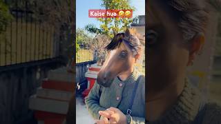 Horse Lady ll Funny Face shorts trending ng [upl. by Aniham]