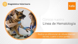 Kabla  Soluciones en Diagnóstico Veterinario  Línea de Hematología [upl. by Aiz159]