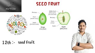 Bio vatika class 12th  seed fruit  explain  biology [upl. by Ume]