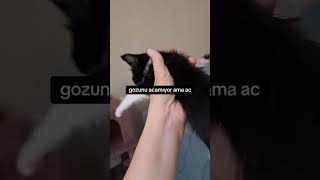 kiznur life kedi Tom zorunda holh merhaba Geçen jonglör merhaba [upl. by Irtemed]