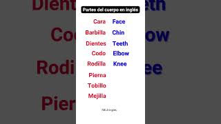 Partes del cuerpo en Inglés [upl. by Dinnie]