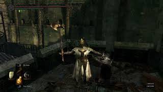 Item duplication glitch on PC Dark Souls Remastered [upl. by Emelita]