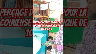 Perçage de trous pour la couveuse automatique 1056 œufs automobile [upl. by Spiros]