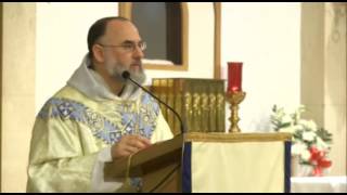 May 31 – Homily – Fr Alan VISITATION – Mary consoles with charity [upl. by Standing]