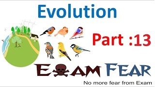 Biology Evolution part 13 Speciation class 12 XII [upl. by Gerhan]