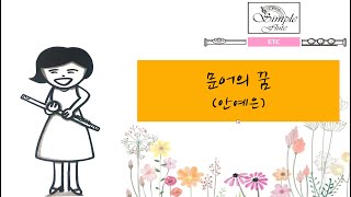 문어의 꿈KPOP플루트악보플루트연주곡안예은 [upl. by Terriss]