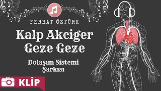 Dolaşım Sistemi Şarkısı  Kalp Akciğer Geze Geze [upl. by Juliana]