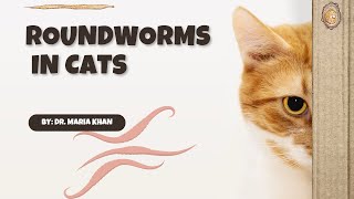 HOW TO PREVENT ROUNDWORMS IN CATS cute cat cats [upl. by Roede]