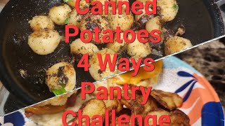 Pantry Challenge Canned Potatoes threeriverschallenge [upl. by Mrots]