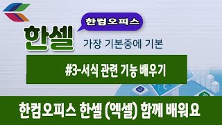 컴퓨터 프로그램 교육한셀 기초부터 배우기한컴오피스 한셀 엑셀 기본기능을 알려드립니다 3서식 관련 실무 기능 팁 [upl. by Lledyr555]