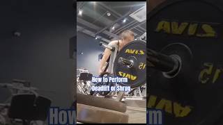 How to Perform Deadlift or Shrug gym gymmotivation gymlife [upl. by Philbo]