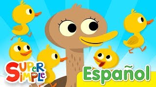 Cinco Patitos  Canciones Infantiles  Super Simple Español [upl. by Tatianas91]