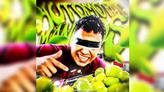 DJ BRZ 013  Automotivo Mangos 1 HOUR [upl. by Ethyl182]