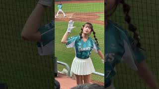 台鋼雄鷹 Wing Stars 昆昆 謎之微笑 cheerleader baseball cheerleads dance cheerleading cheer fancam [upl. by Nolrac]