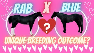 RABICANO X BLUE ROAN  UNIQUES BREEDING OUTCOME Wild Horse Islands horse game on Roblox 2023 [upl. by Raf]