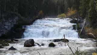 Lower Kananaskis Falls [upl. by Godfry]