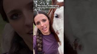 Peach’s roached mane controversy pt 1 horse horsegirl equestrian horses farm farmlife [upl. by Zindman]