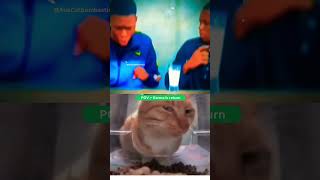 Bro always karma return🤣 viral funny karma aura [upl. by Livvy]