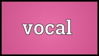 Vocal Meaning [upl. by Magnusson]