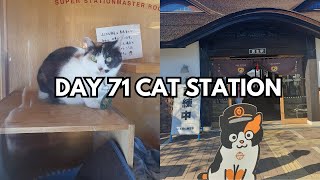 Solo Travel Vlogs Day 71 Cat station [upl. by Bridget162]