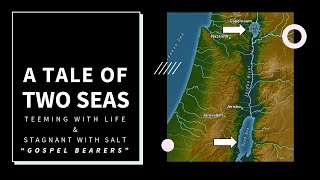 1Missions Conference 2024A tale of two seasSmall groups [upl. by Aneertak]