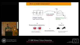 Höps Wolfram  Silence in the cold Temperatureinduced depolarisation block in neurons [upl. by Kenison470]