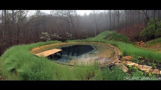 How to make a Natural  Organic Pool in America [upl. by Sokcin982]