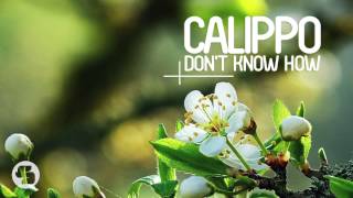 Calippo  Dont Know How Radio Edit [upl. by Eelymmij]