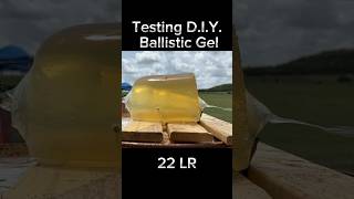 Testing DIY Ballistics Gel 22LR shorts [upl. by Hasin]