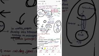 Diphyllobothrium latum  cestodes  parasitology  microbiology  Dr Zubia [upl. by Nireil]